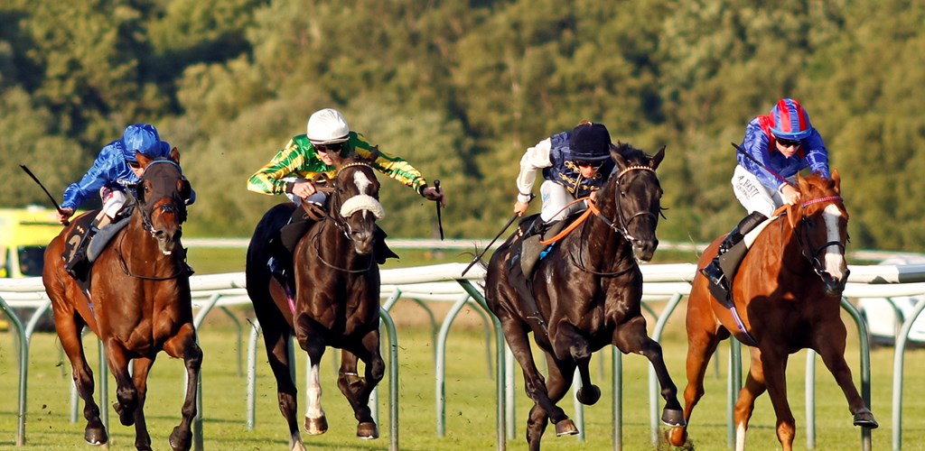 Debora's Dream cruises to victory at Nottingham