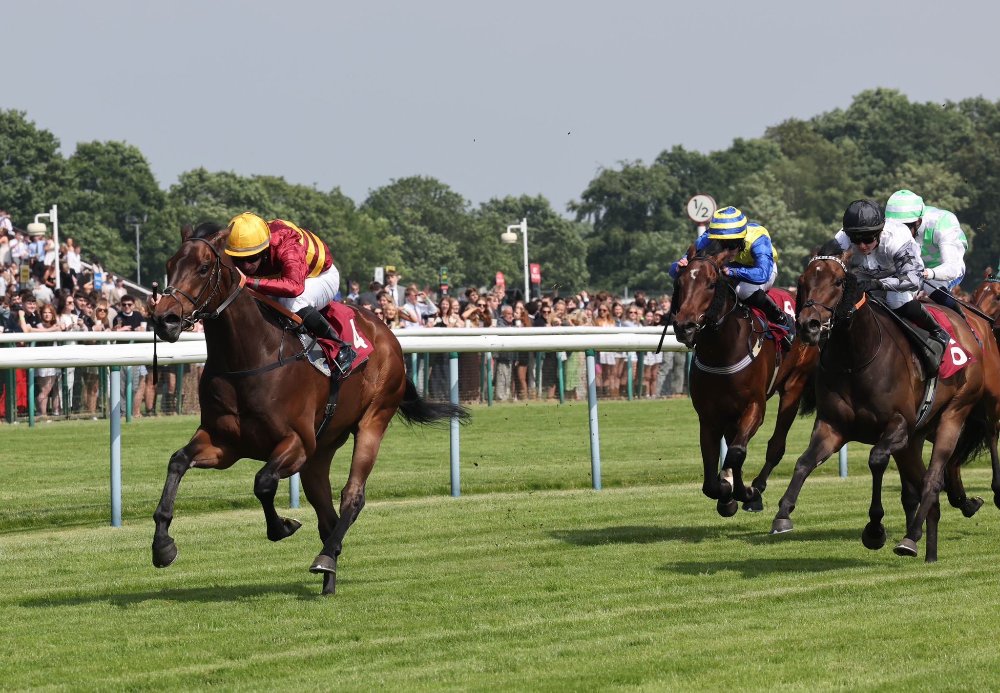 Cool Dividend Breaks His Maiden