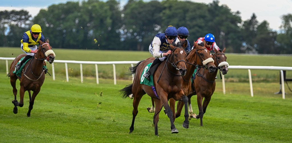 Debut Delight for Royal Fixation