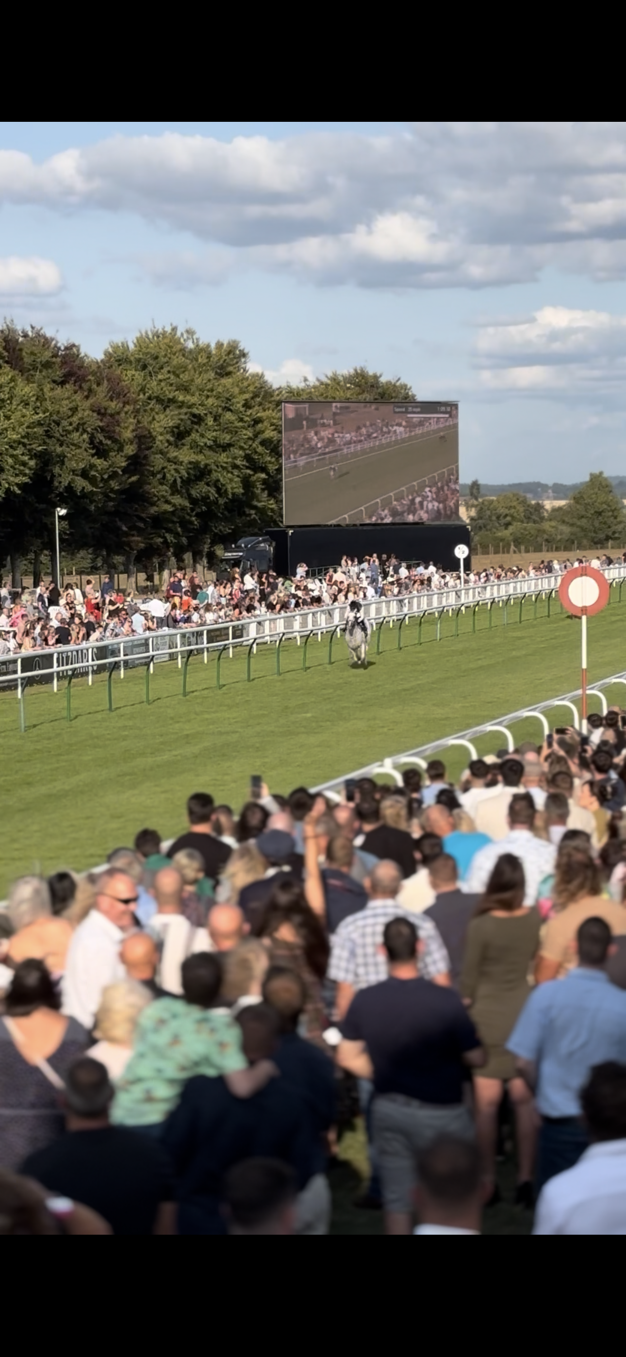 Five Years. 100 Winners. Unlimited Ambition - By Cornelius Lysaght