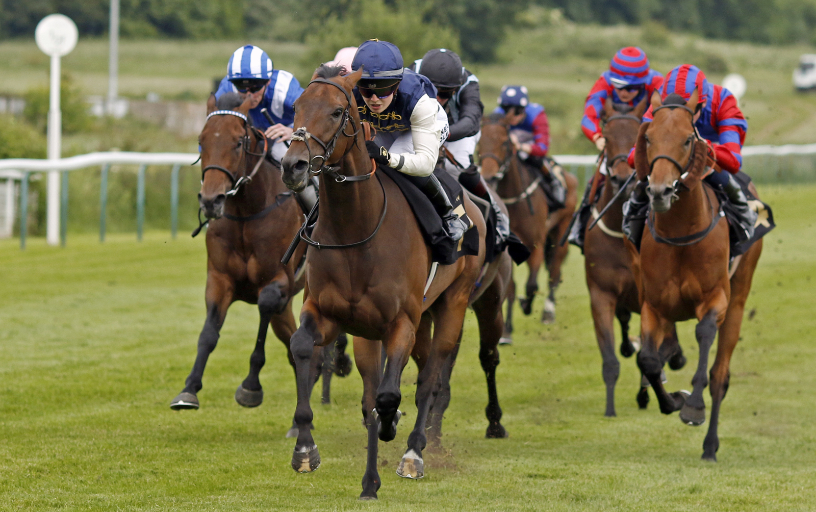 Hat-Trick Heaven for Phoenix Passion