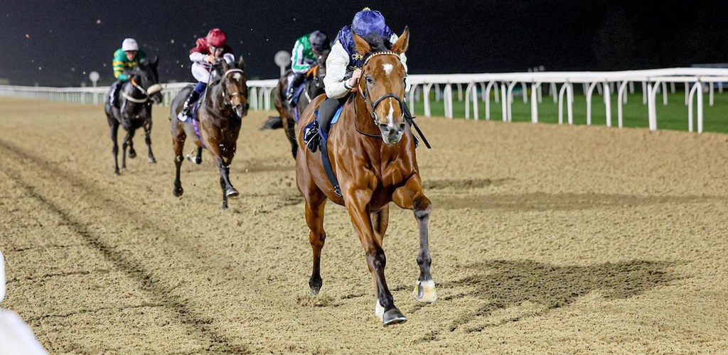 Sovereign Sea Sets Sail for Victory in Newcastle Debut