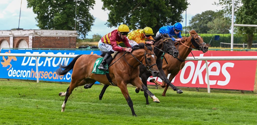 Divine Knight Repays Owners Patience With Debut Win